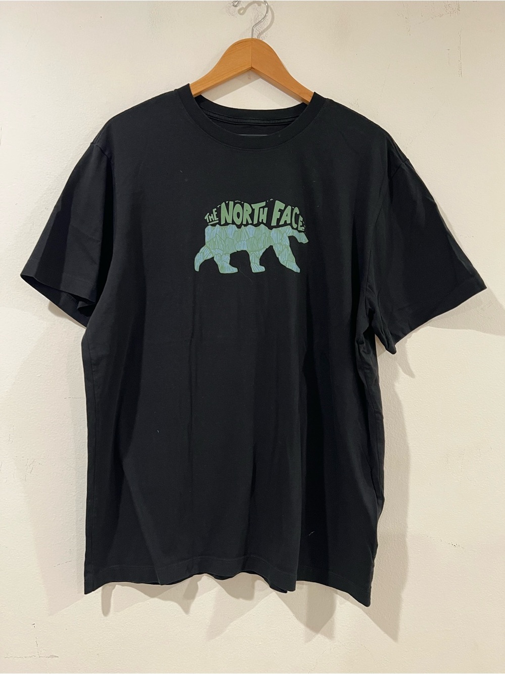 The North Face Men’s Black T-Shirt with Green Graphic - XL